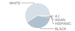 Alexander City Middle School Student Race Distribution