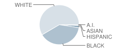 Benjamin Russell High School Student Race Distribution