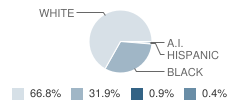 W S Neal High School Student Race Distribution