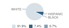 Carlisle Elementary School Student Race Distribution