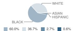 Abbeville Elementary School Student Race Distribution