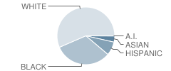 Homewood Middle School Student Race Distribution