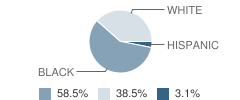 East Clinton Elementary School Student Race Distribution