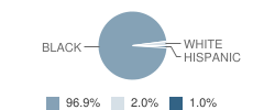 Cobb Elementary School Student Race Distribution