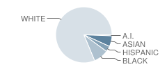 Virgil Grissom High School Student Race Distribution