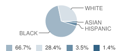 Lincoln Elementary School Student Race Distribution