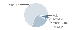 Monte Sano Elementary School Student Race Distribution