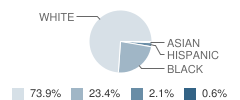 Maddox Middle School Student Race Distribution