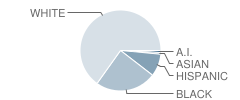 Athens High School Student Race Distribution