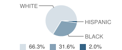 Brookville Elementary School Student Race Distribution