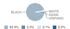 Erwin High School Student Race Distribution