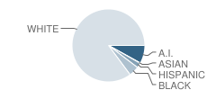 Moulton Elementary School Student Race Distribution