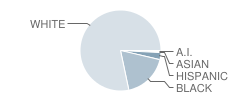 East Limestone High School Student Race Distribution