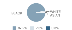 Rutledge School Student Race Distribution