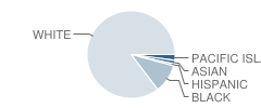 Taylor High School Student Race Distribution