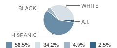 Dequeen Junior High School Student Race Distribution