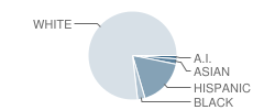 Centerton Gamble Elementary School Student Race Distribution