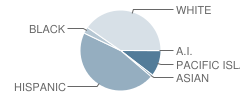 Monitor Elementary School Student Race Distribution