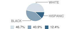 Warren High School Student Race Distribution