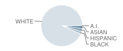 Sheridan High School Student Race Distribution