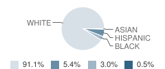 Baldwin Elementary School Student Race Distribution