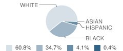 Newport Junior High School Student Race Distribution