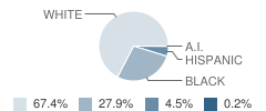 Star City High School Student Race Distribution