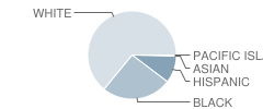 Hamburg Junior High School Student Race Distribution