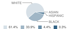 Rivercrest High School Student Race Distribution