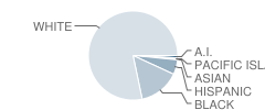 Armorel High School Student Race Distribution