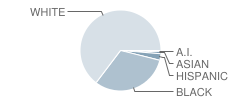 Ashdown Junior High School Student Race Distribution