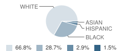 Barton Elementary School Student Race Distribution