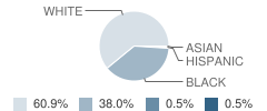 Barton High School Student Race Distribution