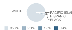 Bay Elementary School Student Race Distribution