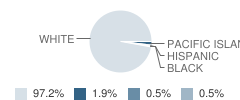 Lead Hill Elementary School Student Race Distribution