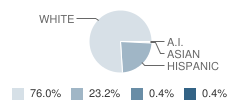 Buffalo Is. Central East Elementary School Student Race Distribution