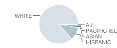 Caddo Hills High School Student Race Distribution