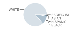 Carlisle Elementary School Student Race Distribution