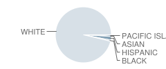 Charleston High School Student Race Distribution