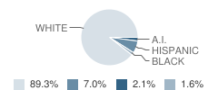 Elkins Middle School Student Race Distribution