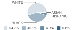 England Elementary School Student Race Distribution