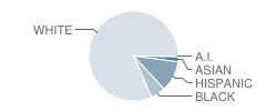 Happy Hollow Elementary School Student Race Distribution