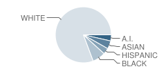 Elmer H. Cook Elementary School Student Race Distribution