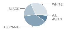 Northside High School Student Race Distribution