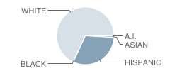 Green Forest High School Student Race Distribution