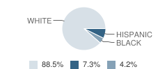 Greenland Elementary School Student Race Distribution