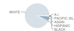 Greenland High School Student Race Distribution