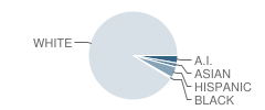 East Hills Middle School Student Race Distribution