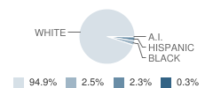 Harrisburg Middle School Student Race Distribution