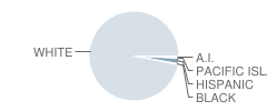Forest Heights Elementary School Student Race Distribution